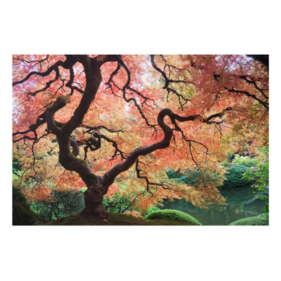 Aluminium Print - Wandbild Japanischer Garten - Quer 2:3