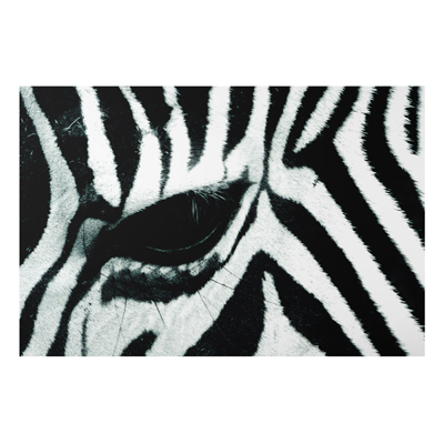 Aluminium Print - Wandbild Zebra Crossing - Quer 2:3