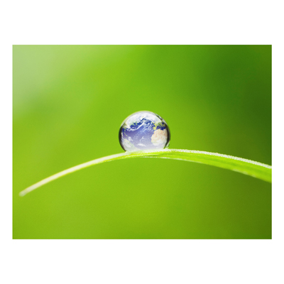 Forex Fine Art Print - Wandbild Grüne Hoffnung - Quer 3:4