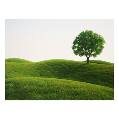 Forex Fine Art Print - Wandbild Grüne Ruhe - Quer 3:4