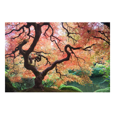 Forex Fine Art Print - Wandbild Japanischer Garten - Quer 2:3