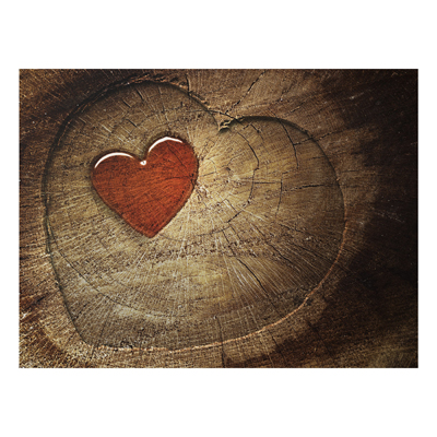 Forex Fine Art Print - Wandbild Natural Love - Quer 3:4