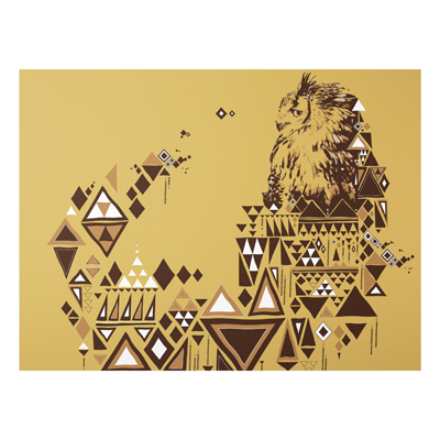 Forex Fine Art Print - Wandbild No.MW17 Indianische Eule - Quer 3:4