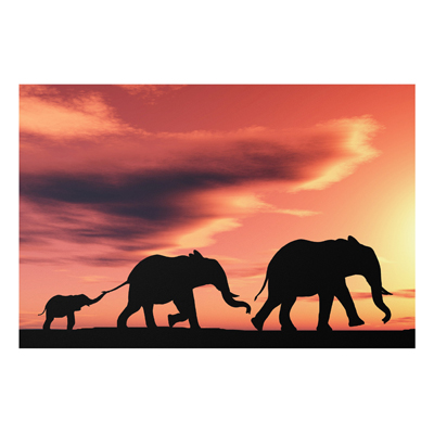 Forex Fine Art Print - Wandbild Savannah Elefant Family - Quer 2:3