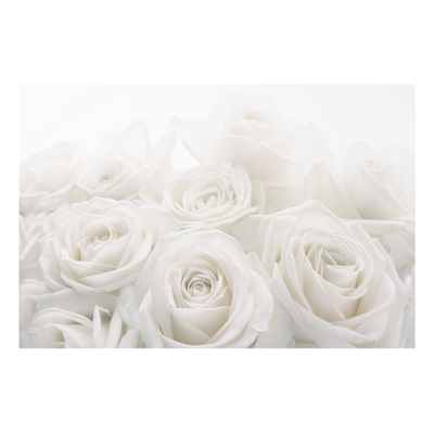Forex Fine Art Print - Wandbild Wedding Roses - Quer 2:3