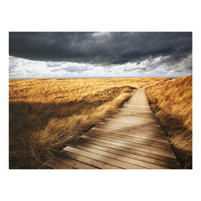 Forex Fine Art Print - Wandbild Weg in den Dünen - Quer 3:4