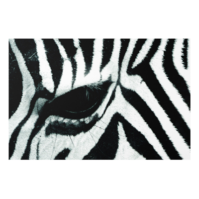 Forex Fine Art Print - Wandbild Zebra Crossing - Quer 2:3