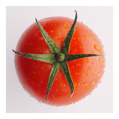 Vliestapete - Küchentapete Tomato Trio Teil 1 - Fototapete Quadrat