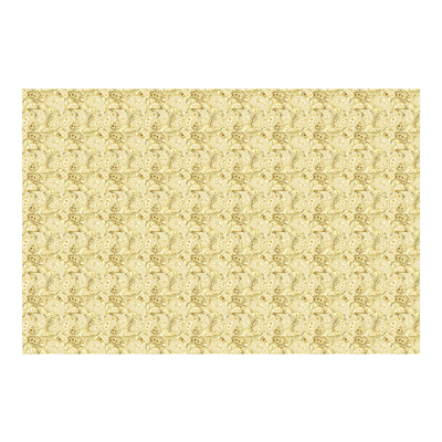 Vliestapete - Retro Paisley - Fototapete Breit