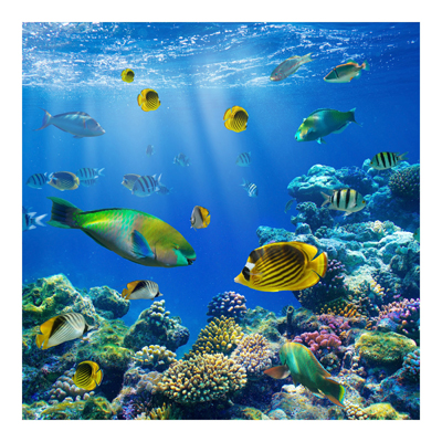 Vliestapete - Underwater Lights - Fototapete Quadrat